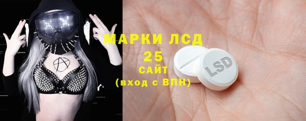 прущие грибы Новозыбков