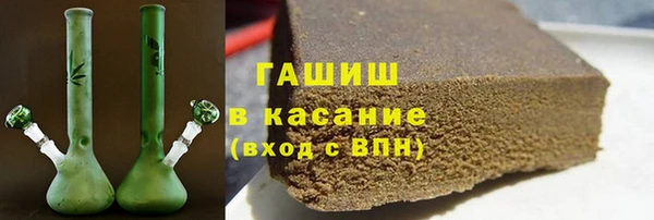 прущие грибы Новозыбков
