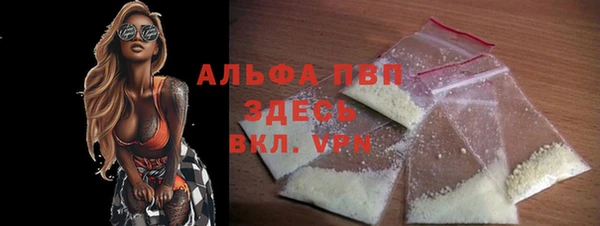 ПСИЛОЦИБИНОВЫЕ ГРИБЫ Няндома