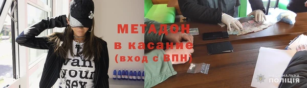прущие грибы Новозыбков