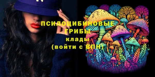 стаф Сясьстрой