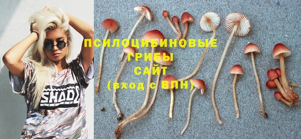 ПСИЛОЦИБИНОВЫЕ ГРИБЫ Няндома