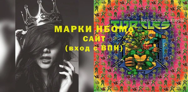 ПСИЛОЦИБИНОВЫЕ ГРИБЫ Няндома