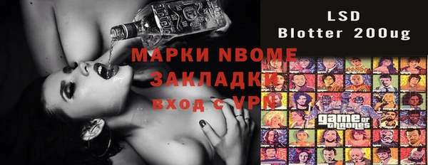 ПСИЛОЦИБИНОВЫЕ ГРИБЫ Няндома