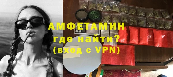 прущие грибы Новозыбков