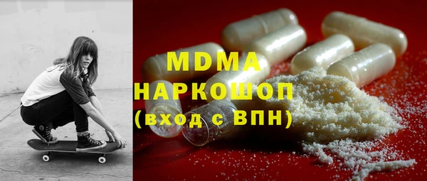 прущие грибы Новозыбков