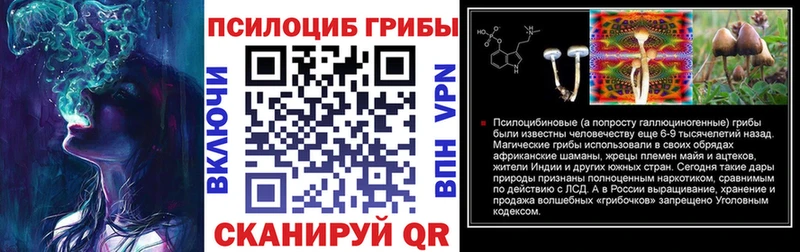omg ссылка  Истра  Псилоцибиновые грибы Psilocybine cubensis 