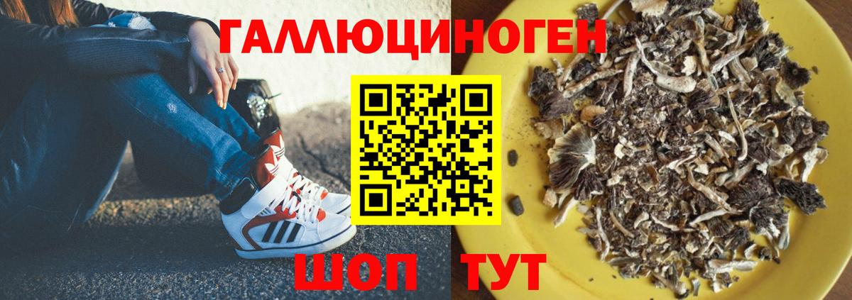 Псилоцибиновые грибы мицелий  Вход с VPN  Истра  купить наркотики цена  Псилоцибиновые грибы Psilocybe 