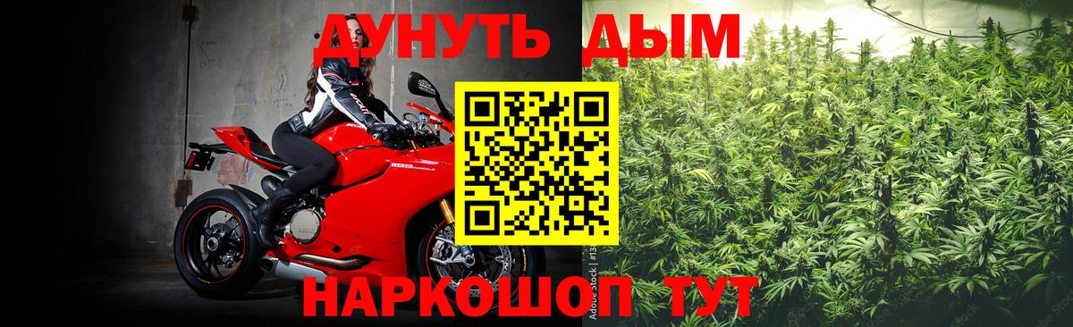 Истра  МАРИХУАНА конопля  Вход с VPN  Каннабис индика  Шишки марихуана индика 
